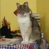 Отзыв от Нинель Наумова
